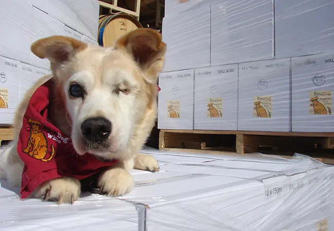 The Story of Blind Dog Wines