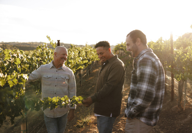 Lock Vineyard