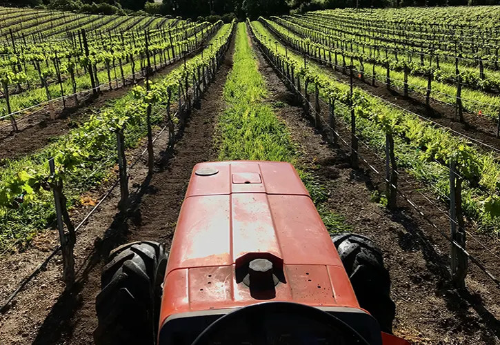 Écluse Vineyard Tractor