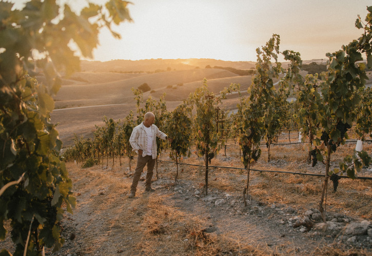 Josh Vineyard